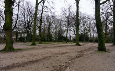 Trees in Brussels city parkの写真素材