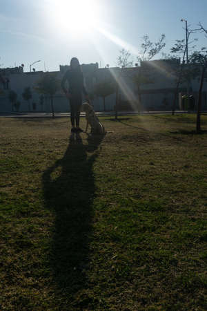 Happy woman with dogs in a park, black wearing and old labradorの写真素材