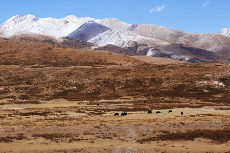 Snow Mountainの写真素材