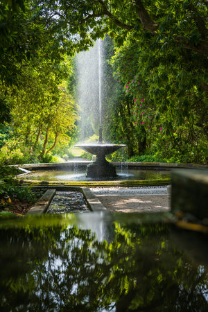 Fountain in the garden with pond and green trees in the backgroundの写真素材