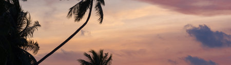 Palm tree silhouette on sunset sky background. Panoramic bannerの写真素材