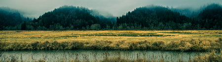 Panoramic view of the river in the mountains in the fog