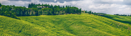 Tuscany landscape panoramic view with vineyards and cypressesの写真素材