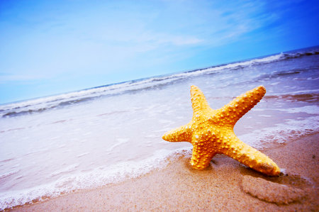 Starfish on the beach, vintage filter effect, shallow DOFの写真素材