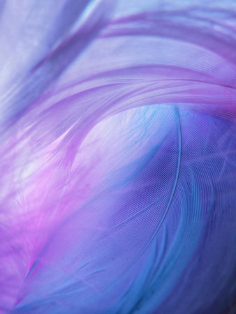 beautiful color feathers as background, blue feather texture close-upの写真素材