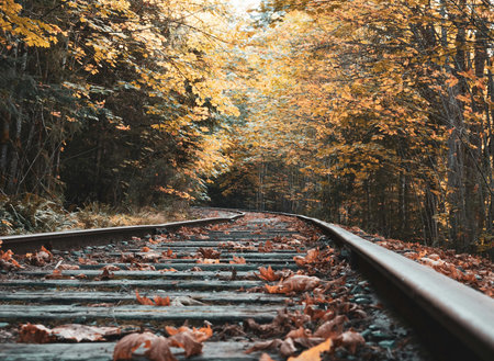 Railway in the autumn forest. Railway in the autumn forest.の写真素材