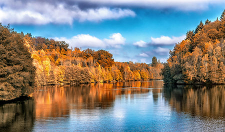 Autumn forest on the river bank. Colorful autumn landscape.