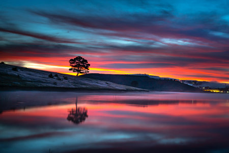 Beautiful sunset over a lake with a lonely tree in the foreground