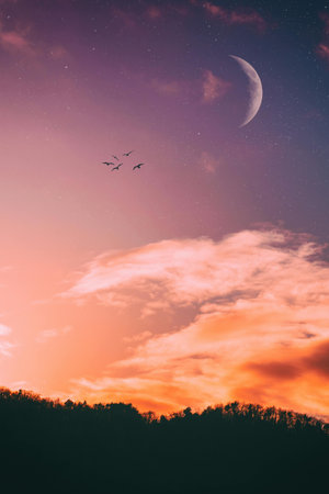 beautiful sunrise over the forest and the moon in the sky.