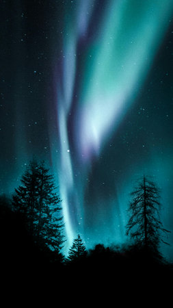 Northern lights, Aurora borealis, over the forest at night.