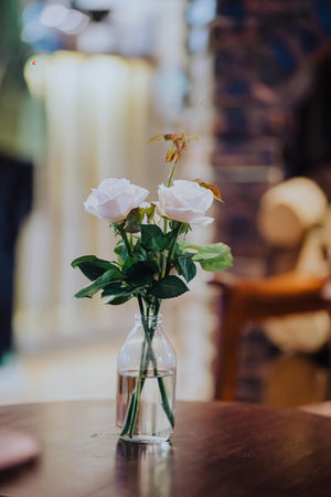Bouquet of white roses in a vase on the tableの写真素材