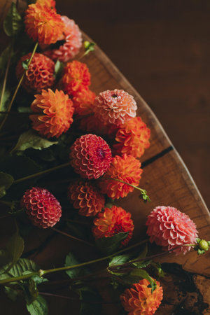 Dahlia flowers on rustic wooden background with copy space.の写真素材