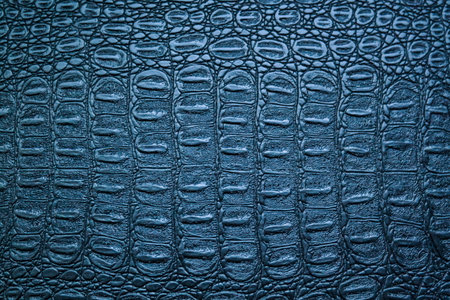 Crocodile leather texture background for design with copy space for text or image. Dark blue color.の写真素材