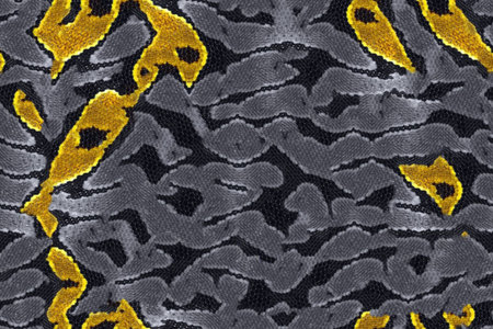 texture of print fabric striped snake for background and design. Yellow and blackの写真素材