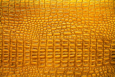 Crocodile skin texture background. Golden crocodile leather texture.の写真素材