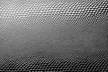 Black and white abstract background. Close up of water drops on glass.の写真素材