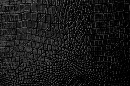 black crocodile leather texture background for graphic design and web design.の写真素材