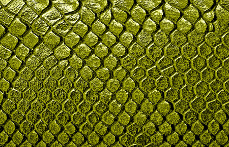 Crocodile skin texture in yellow tone. Abstract background and texture for design.の写真素材