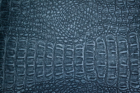 Crocodile leather texture background for design with copy space for text or image.の写真素材