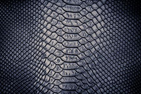 black snake skin texture for background. Close up. Toned.の写真素材