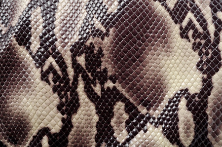 Snake skin texture background. Close up of snake skin texture for design.