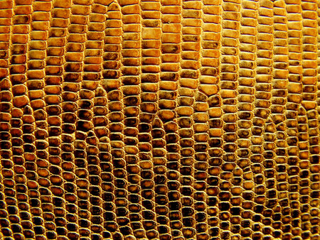 honeycomb as a background, close-up, macro photoの写真素材