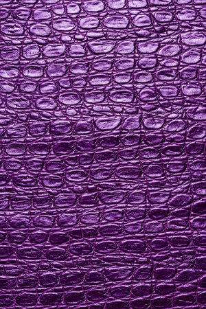 Purple crocodile leather texture. Abstract background and texture for design.の写真素材