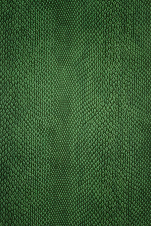 Crocodile skin background or texture. Green snake skin patternの写真素材