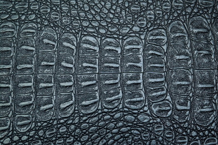 Crocodile skin texture background. Black alligator skin pattern.の写真素材