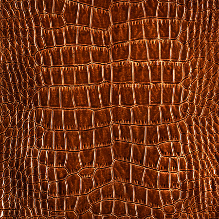 Crocodile skin texture background. Brown alligator leather backgroundの写真素材