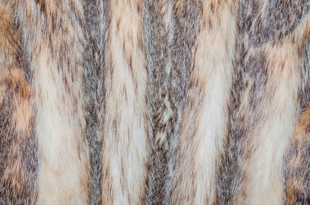 close up of fur texture for background, animal skin, brown color
