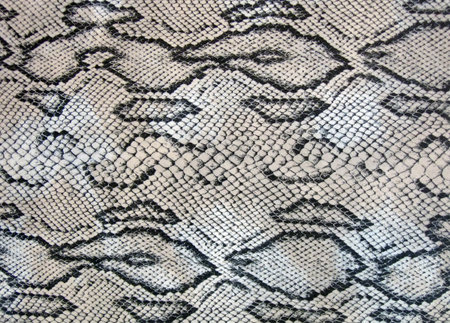 texture of fabric striped snake skin for background, closeup of photo