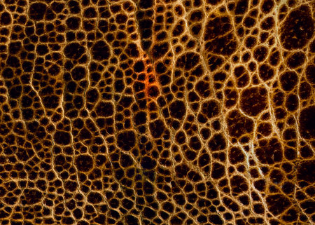 Grunge brown leather texture. Abstract background and texture for design.の写真素材