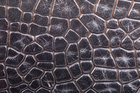 Black leather texture background. Close-up of crocodile skin.の写真素材