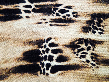 texture of print fabric striped leopard for background and design art work