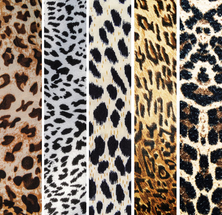 Leopard print fabric collection. Animal skin texture. Collage.の写真素材