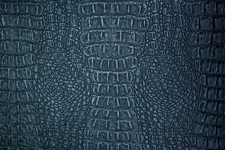 Crocodile leather texture or background for design with copy space for text or image.の写真素材