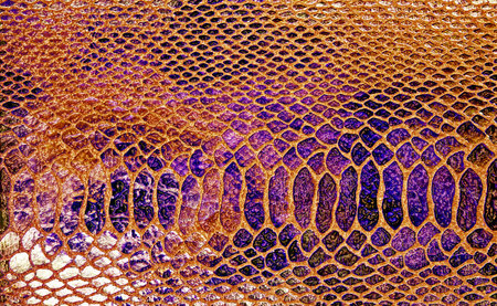 crocodile skin texture background. Closeup of reptile skin texture