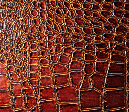 Crocodile skin texture background, leather crocodile pattern.の写真素材