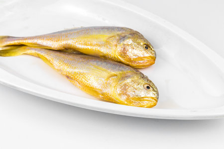 Fresh fish in white dish isolated on white background with clipping path.