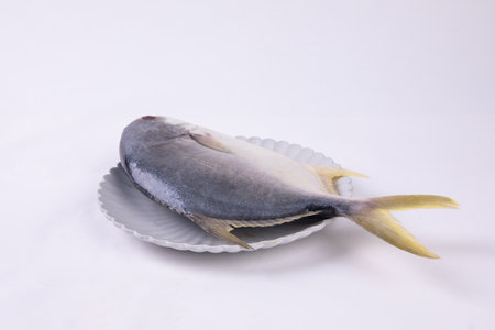 Mackerel fish on a white background in a glass plate.の写真素材