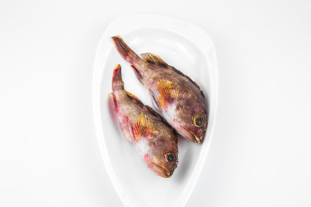 Red mullet fish on white plate isolated on white background with clipping path