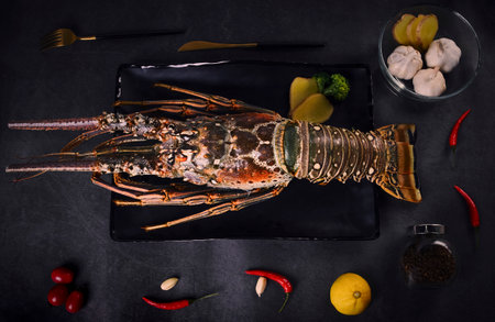 Spiny lobster on a black plate with vegetables and spices, top viewの写真素材