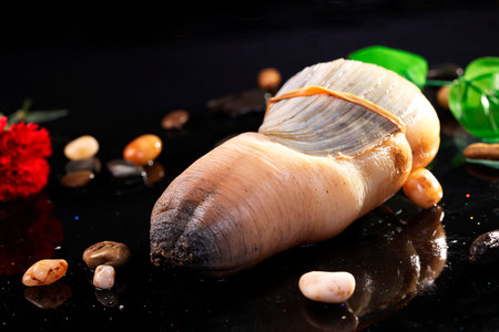 Fresh shellfish on a black background. Shallow dof.の写真素材