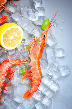 Shrimp with ice cubes and lemon on white background, top viewの写真素材