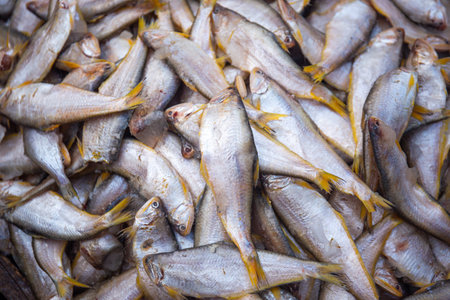 Closeup of dried fish for sale at the fish market in Thailandの写真素材