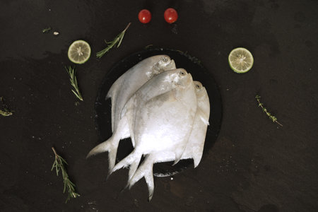 Fresh raw cuttlefish on a black background with herbs and tomatoesの写真素材