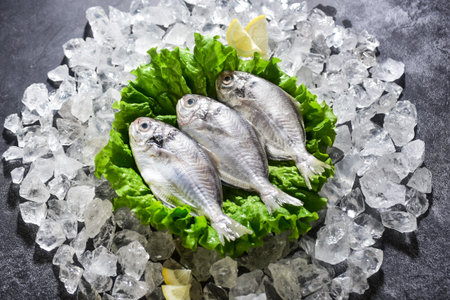 Raw dorado fish on ice with lemon and salad leaves, top viewの写真素材