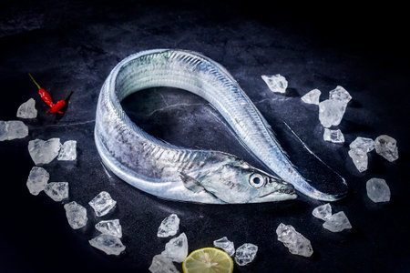 Fresh raw fish on a black background with ice cubes and chili pepperの写真素材