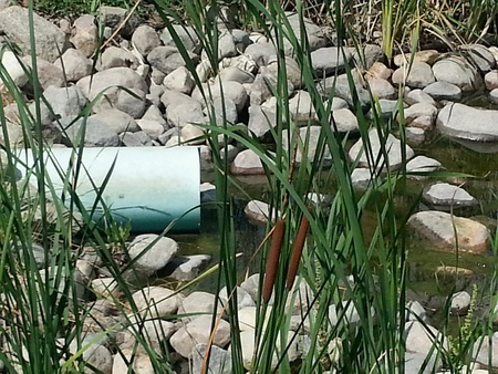 Water emptying through culvertの素材